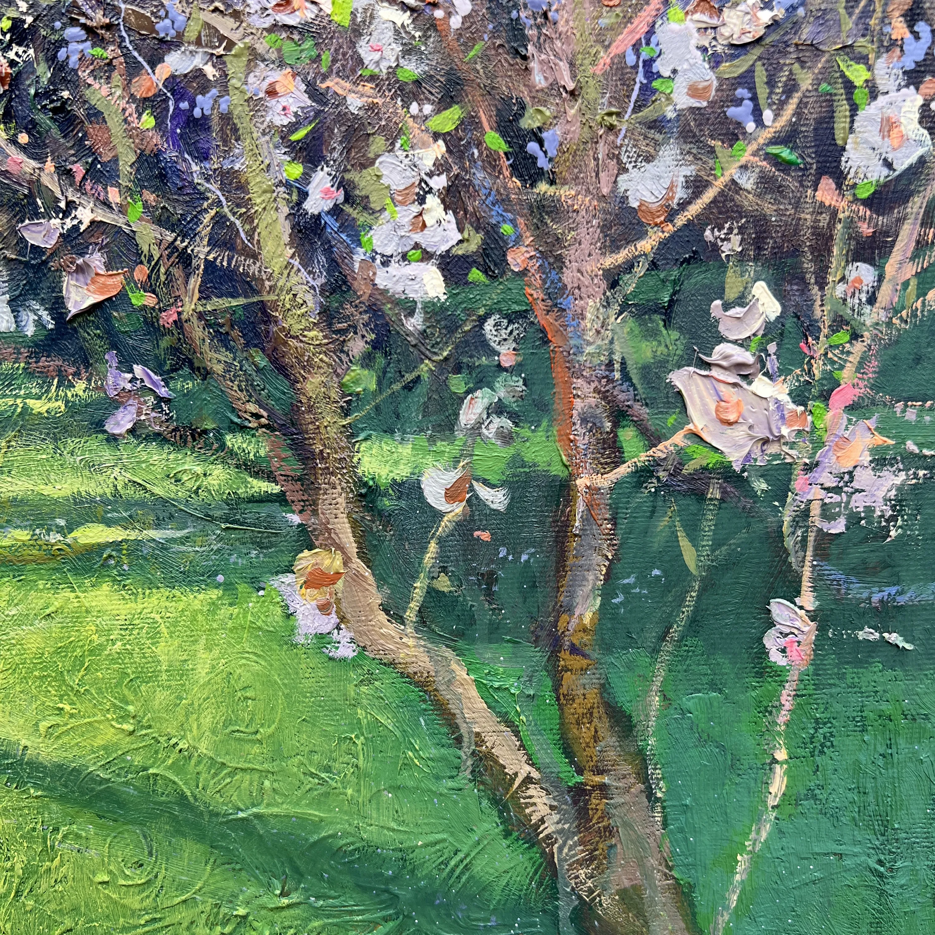 Primavera en Madrid (2026)