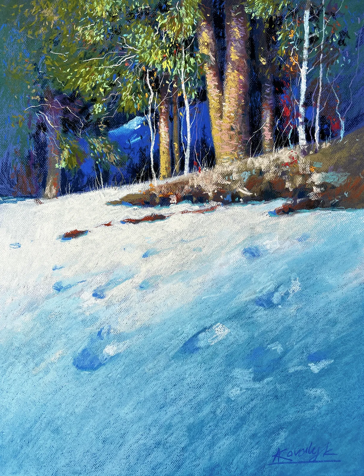 Winter Day in the Carpathians  (2026)