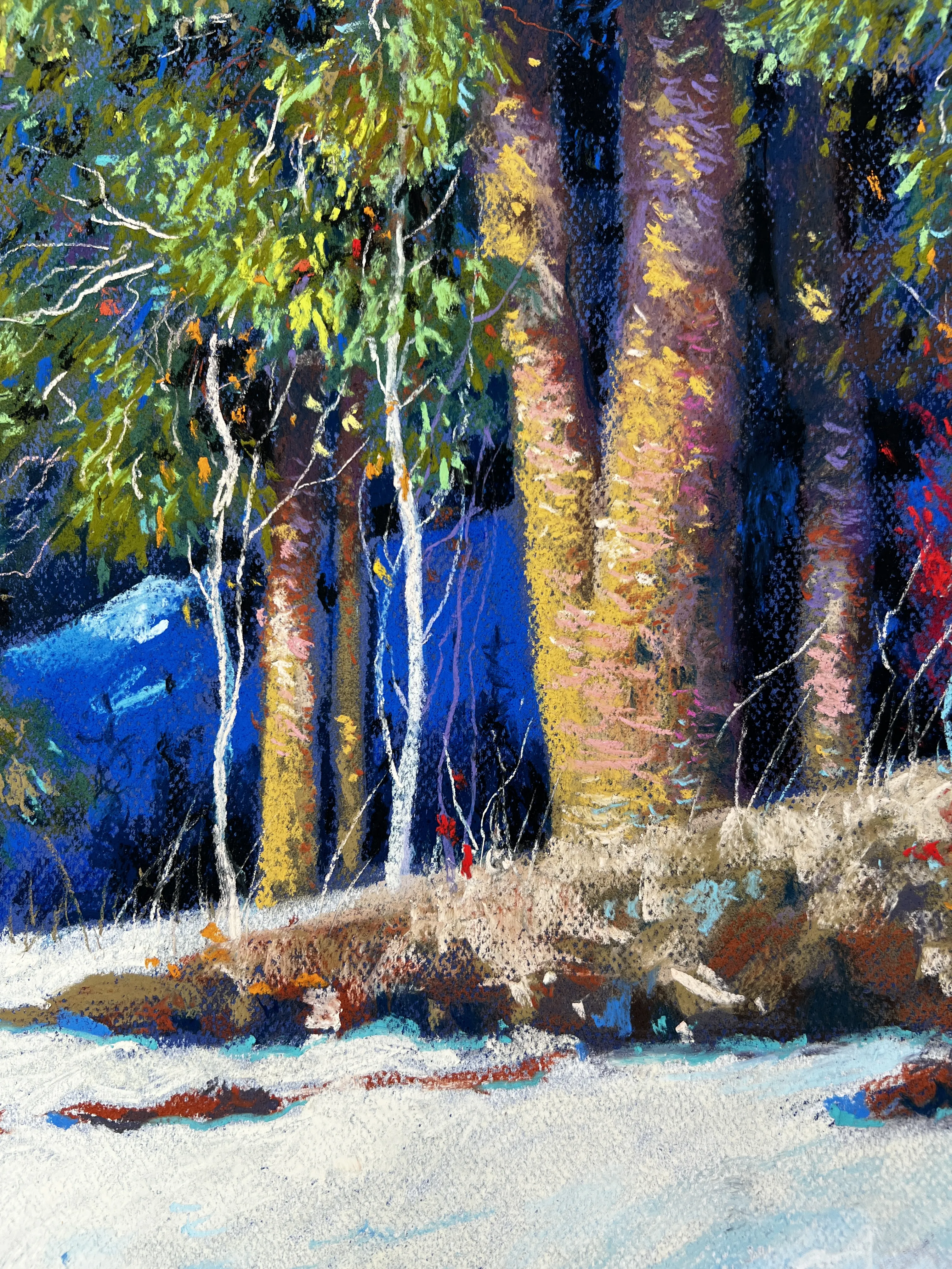 Winter Day in the Carpathians  (2026)