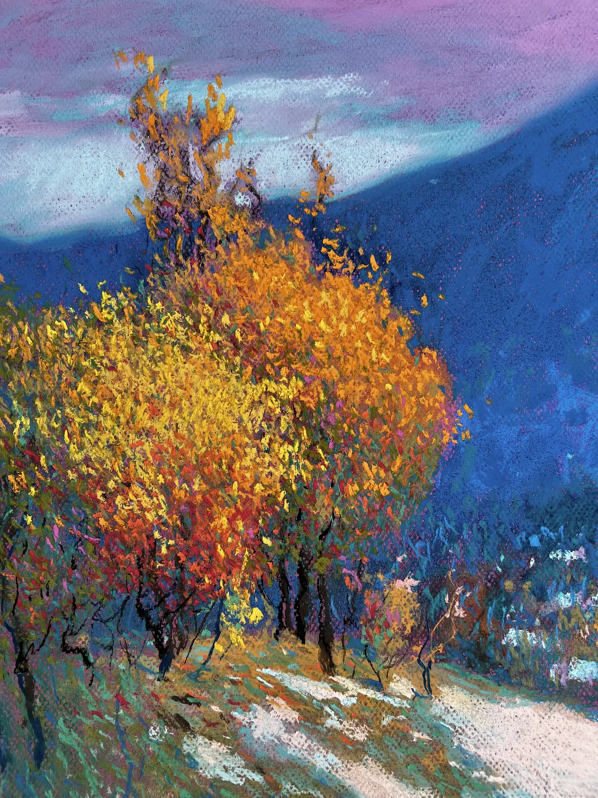 First Snow in the Carpathians (2026)