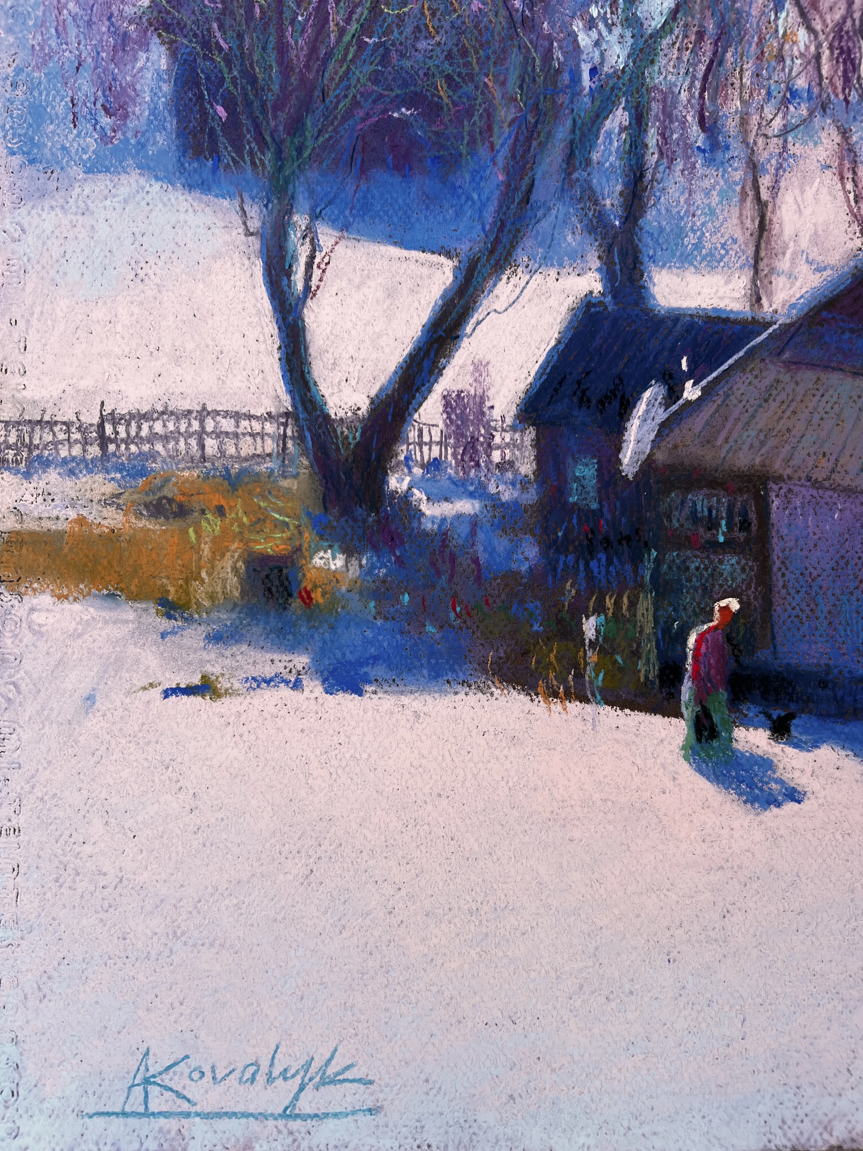 A Winter Day in the Carpathians (2026)
