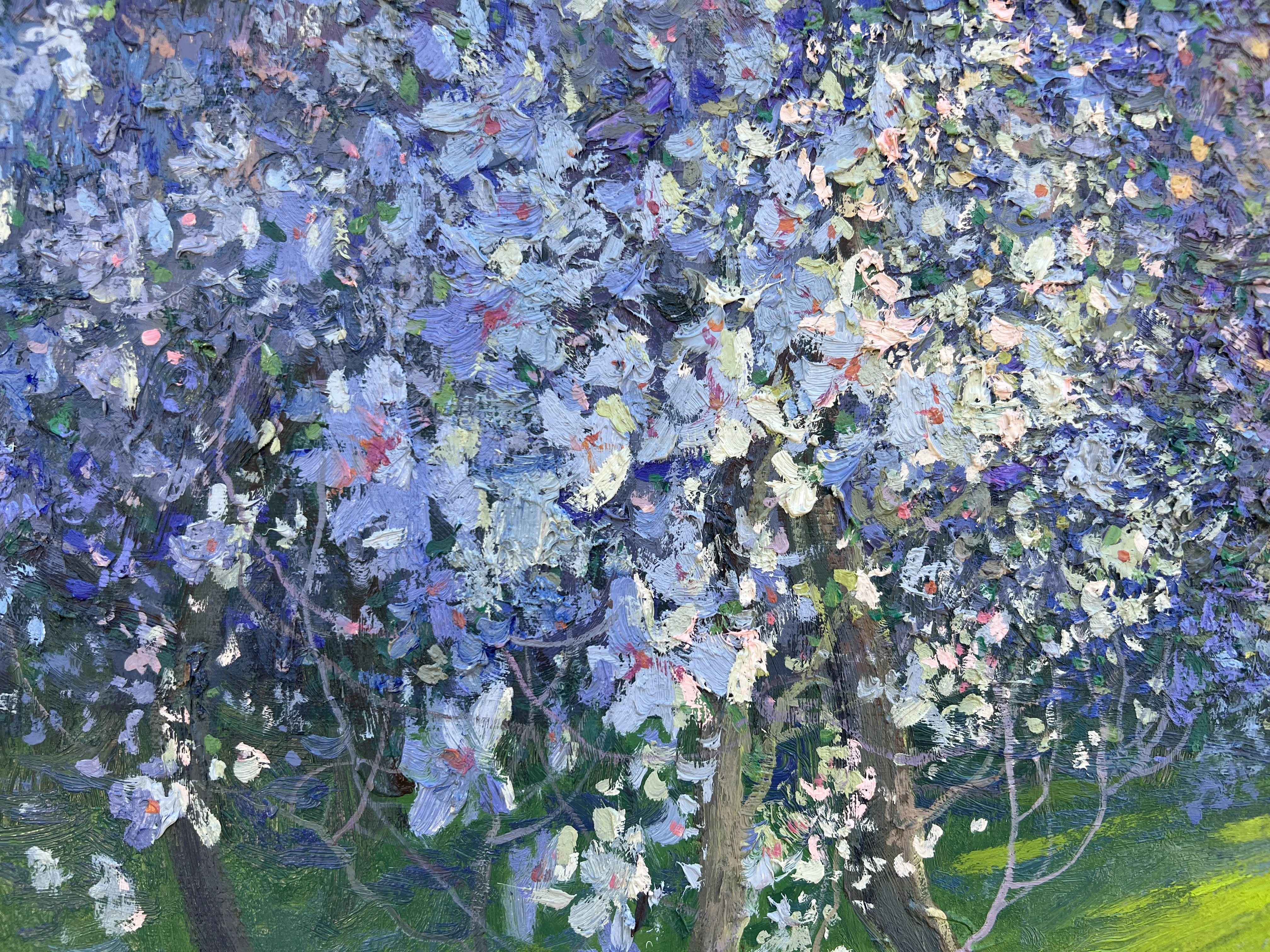 A Moment of Stillness (2026)