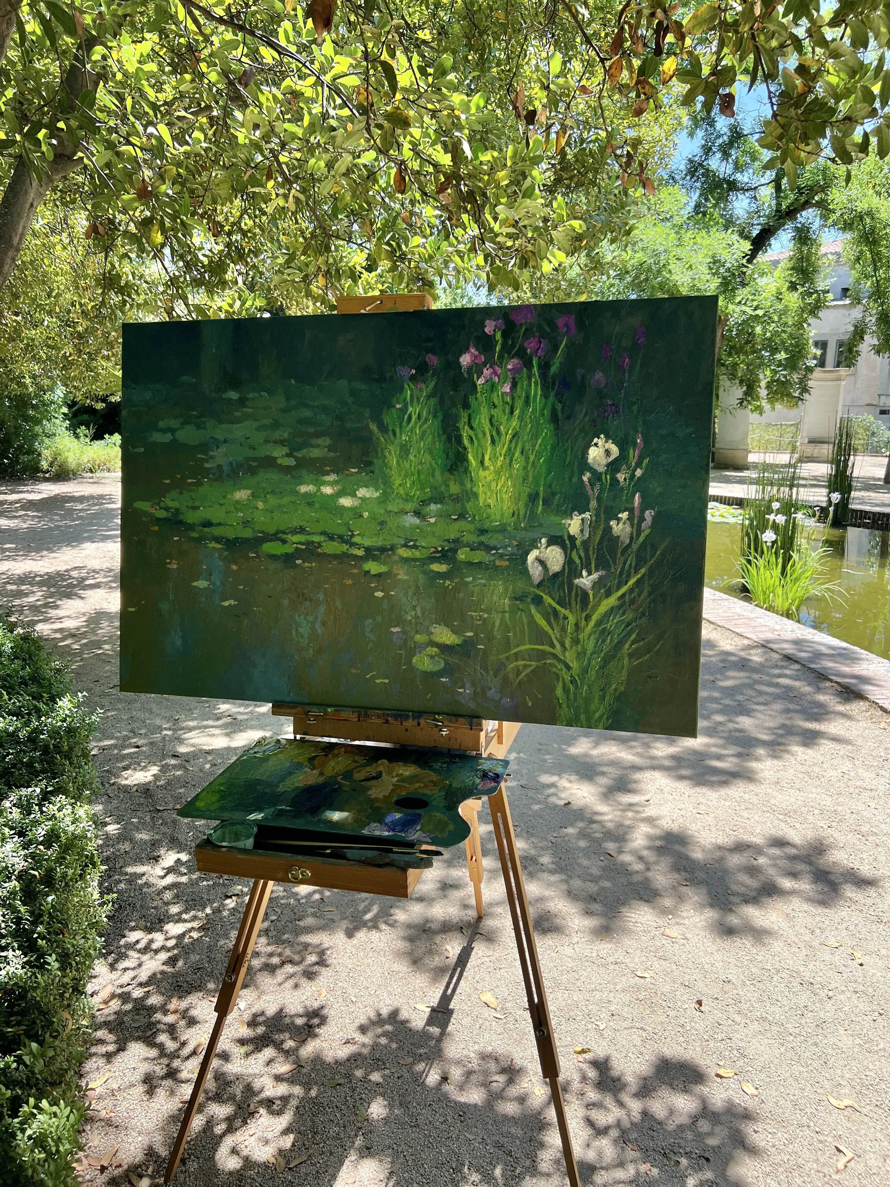Water Lilies and Irises (2026)