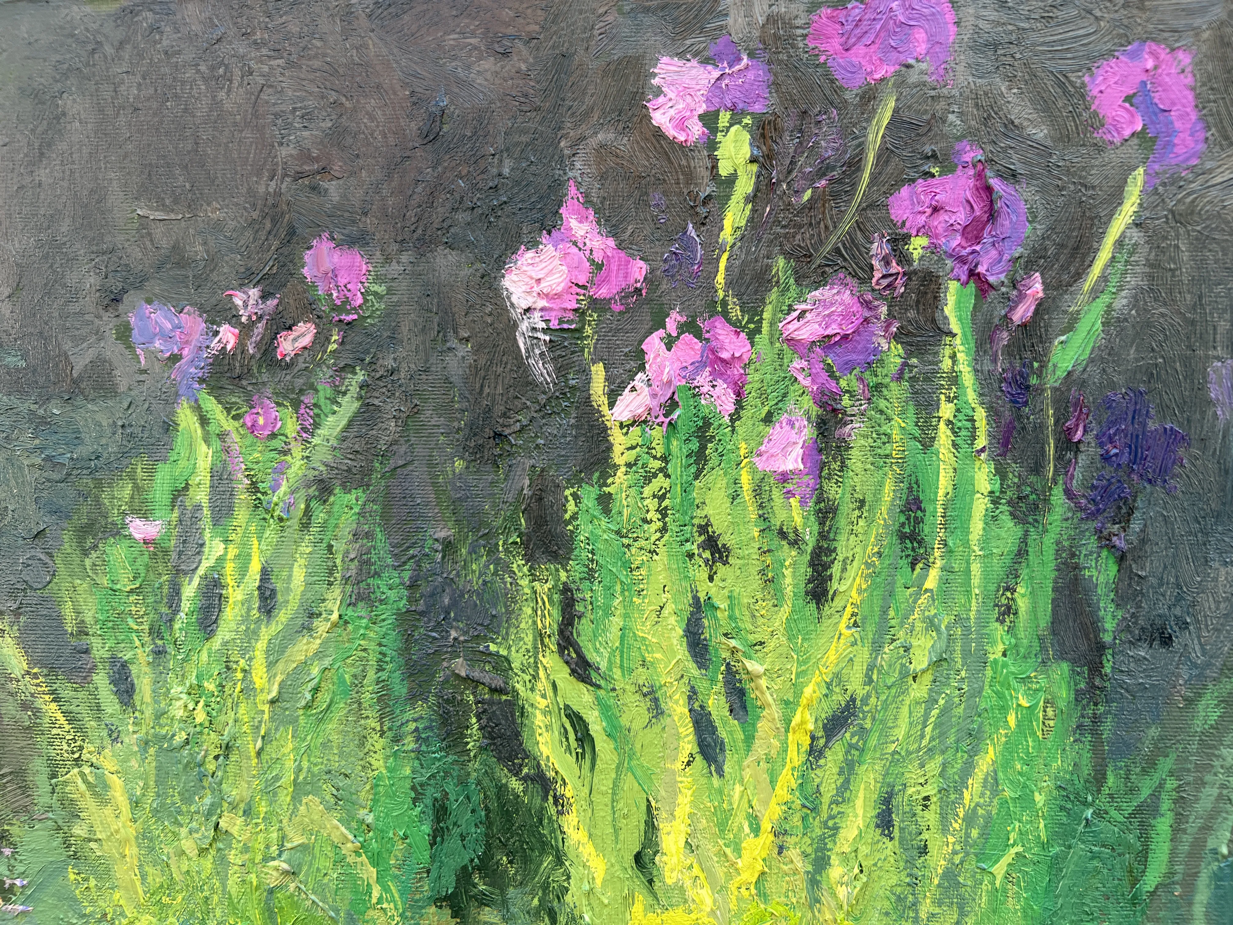 Water Lilies and Irises (2026)